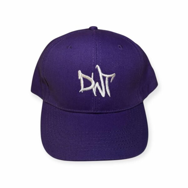 Purple DWT hat
